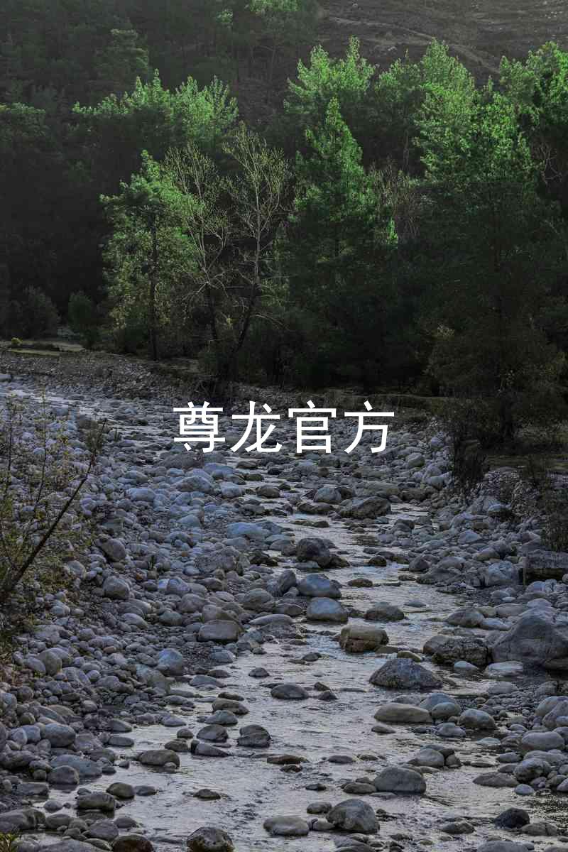 尊龙官方